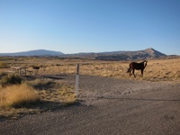 This is not a wild horse. Perhaps it should be, but it is not. Rather this horse is owned by a local rancher. It is standing by the parking space of a public campground. That doesn't seem quite right. This is visual evidence that fences make good neighbors.